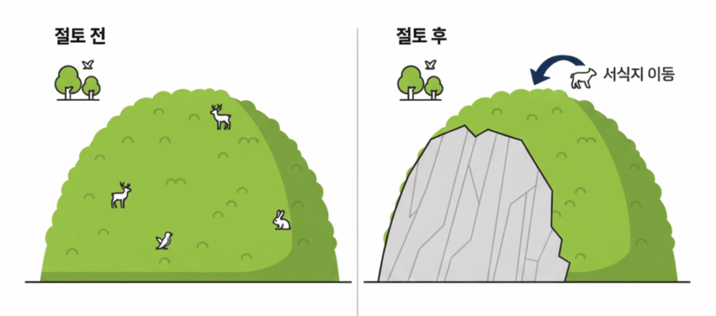 울릉공항 건설을 위해 가두봉 절토 전과 절토 후 서식지가 이동하는 모습을 비교한 일러스트